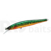 Owner/Cultiva CT Minnow